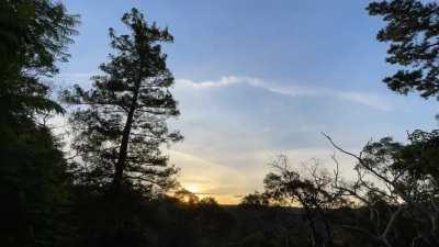 [OK] Jeebus or the opening of Australia’s skies sent us a t.