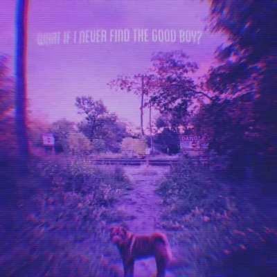 What if I never find the good boy?