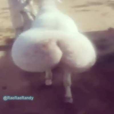 El origen de los gustos de Darkrai