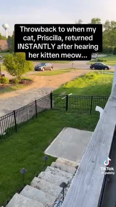 Don't tell me what to do...