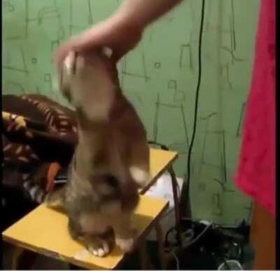 Don’t make her beg!