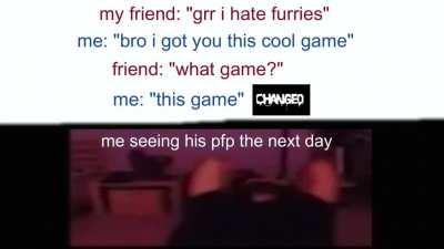 Furry_irl