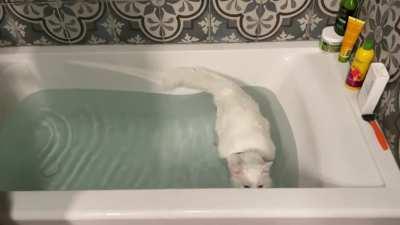 So… yeah… was not expecting this scene when I came to take my bath