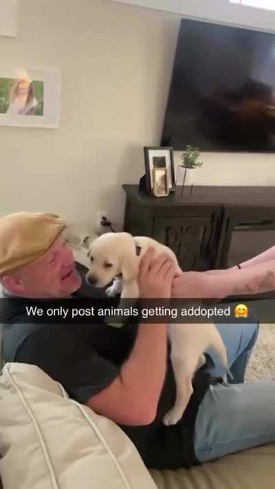 After his dog of 15years old passed daughter surprises dad with new pup.