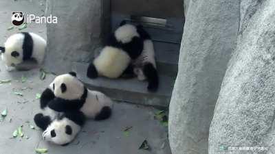 A panda a day keeps the sorrow away