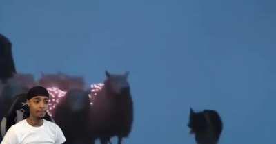 Yoo they got light up sheep 😳