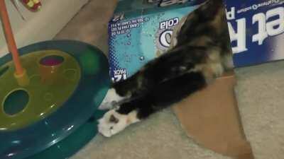 She's having the time of her life