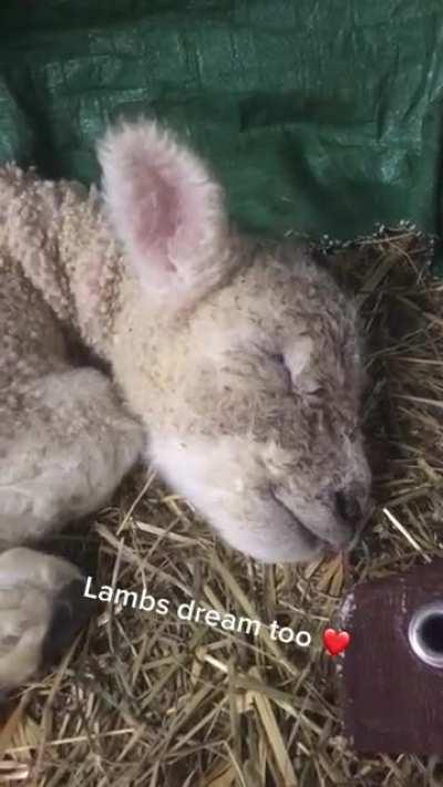 He’s counting humans