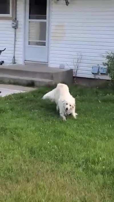 Was told to post this here! Slammywhammies!