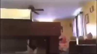 let me try back flipping