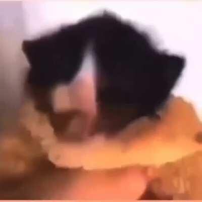 aşırı iyi ya susjdjdj