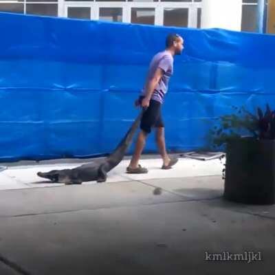 Just another day in Florida