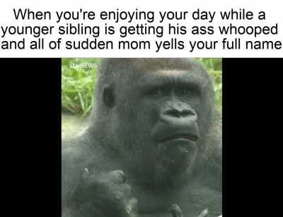 Next objective: SURVIVE