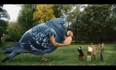 this gif shows you how beautiful life is