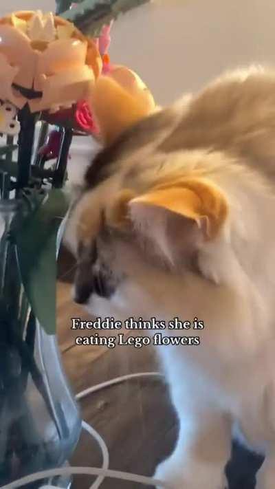 Hope they taste good 