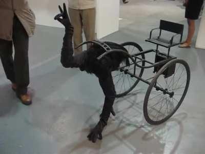 Alternative pet ostrich