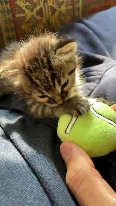 She’s sucking her thumb!