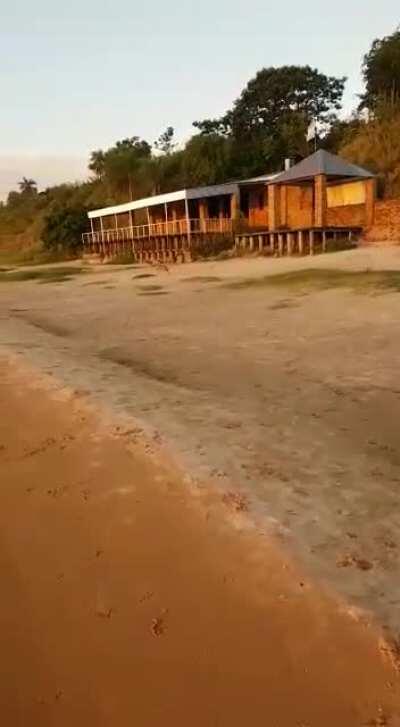 Puppy dog steals bikini from very embarrassed naked girl on the beach [gif]