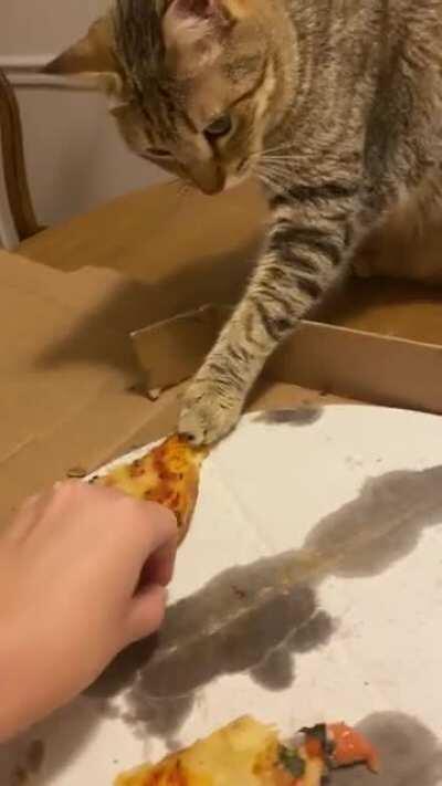 Excuse me but you didn’t chip in for pizza night Simon.