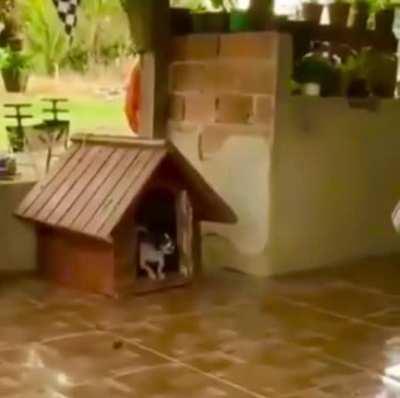 I said I don’t wanna talk, hooman