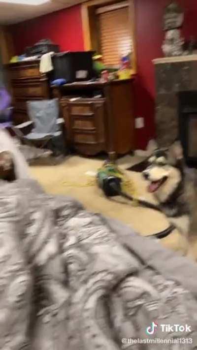 they argue all the time..!!