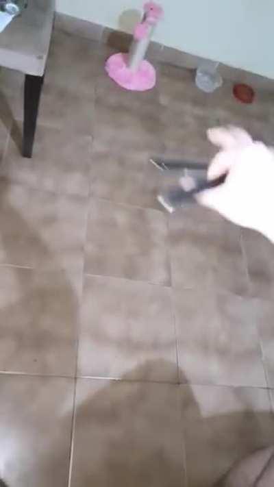 How do you guys learn new tricks ? I came back to flipping after 2 years off and basically started from 0 again, do you guys have any tips ?