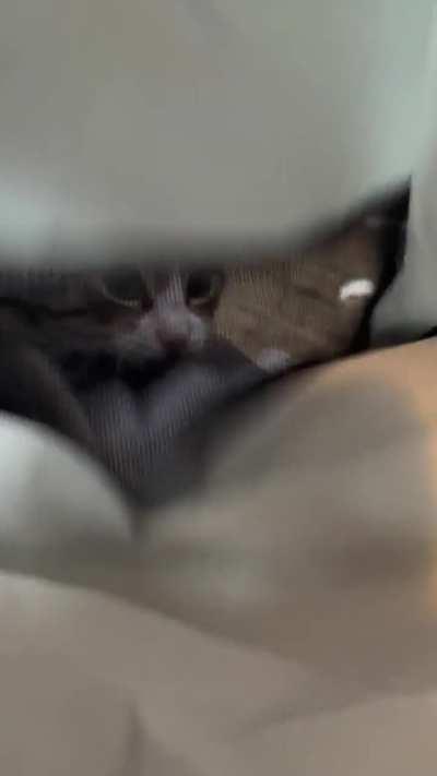 Play stupid games, win stupid prizes. 