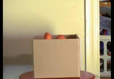 You Food but Neil is schizophrenic