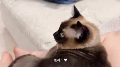 itzy - ryujin - feet