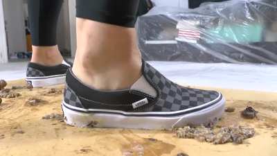 Suzy Snails. Happy 4th of July to the Americans out there.