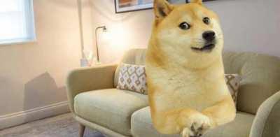 Le therapy has arrived