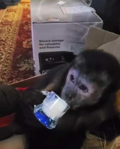 Monke drinking