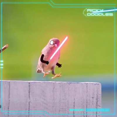 May the Doodles be with you!