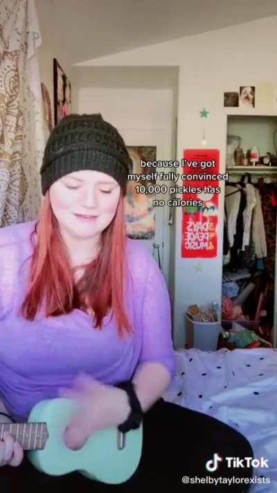 You cannot convince me that I did not just find the ED theme song