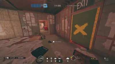 perfectly cut screams?