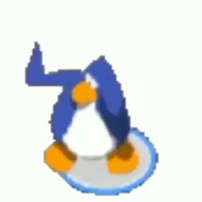 NoRules - Video #0506