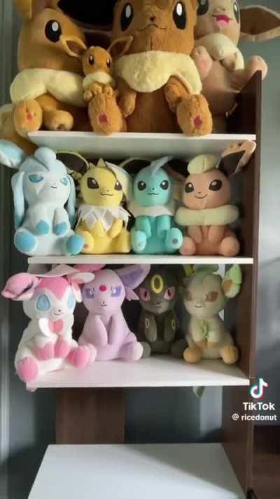 Noble with hid plushise