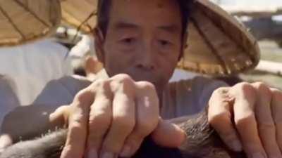 BULLS OVER THE WEEKEND