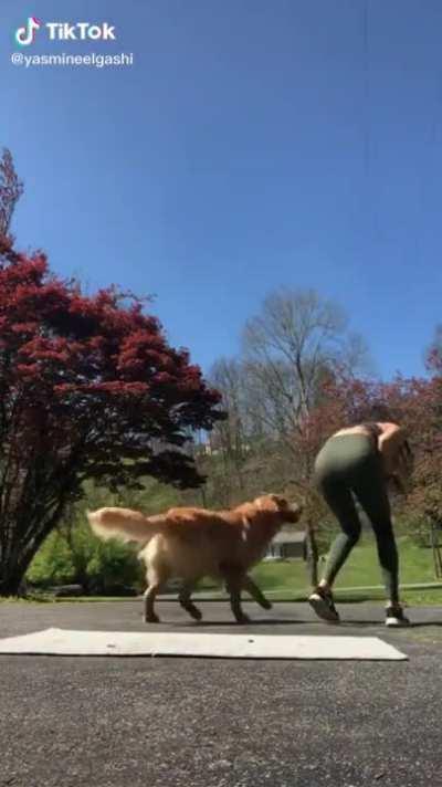 Stop What You’re Doing!