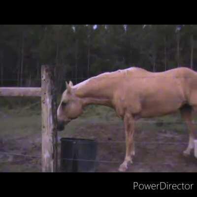 I saw this video and I knew what had to be done