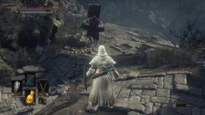 Have You Ever Won a Staring Contest Against a Hollow Manservant?