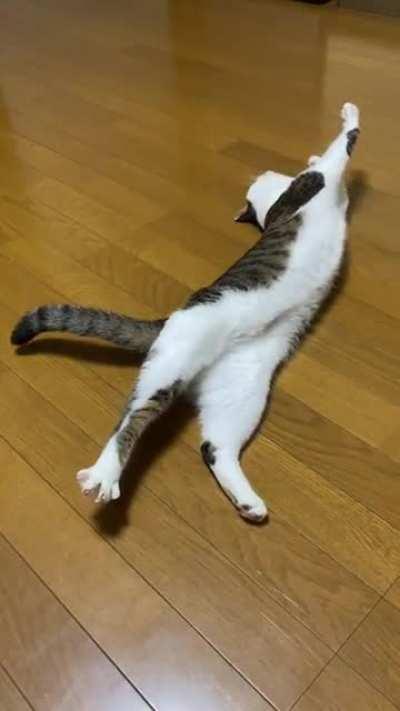 Just a short spready toe stretch