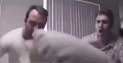 Blursed Pillow Fight