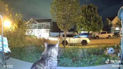 doing his part for the neighbourhood