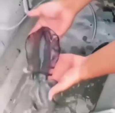 Let me make myself clear