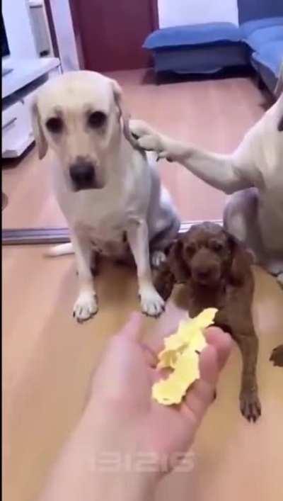 Snitches get stitches