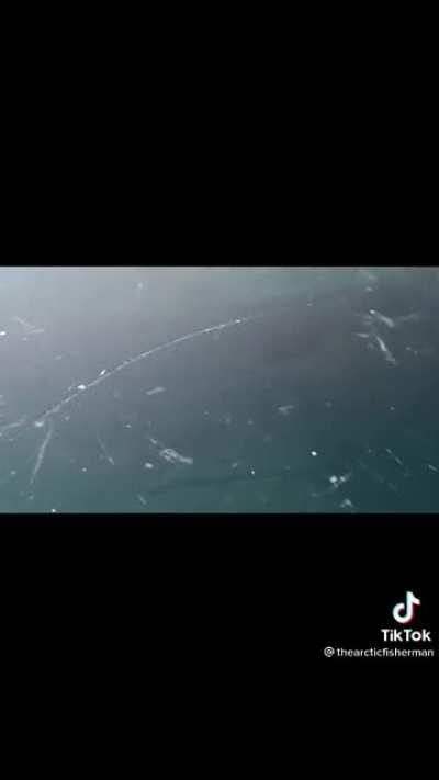 It is in Norway from WW2. Hope you enjoy:)