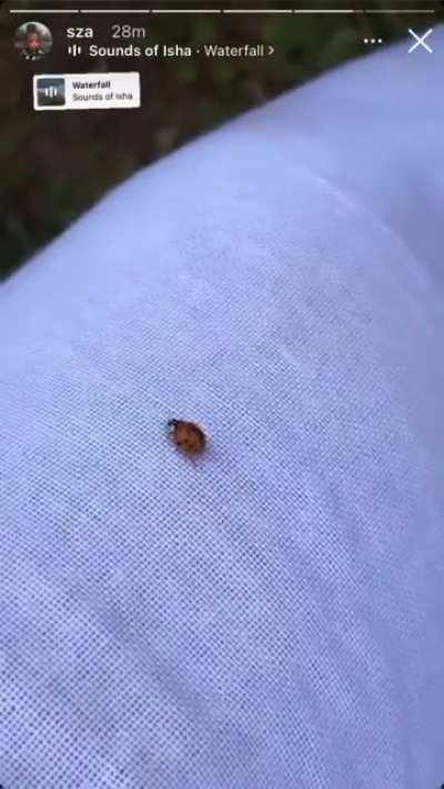 Woah...SZA got Inner Engineered!