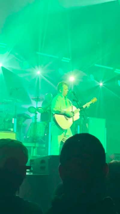 Nashville Wild Pack of Dogs story