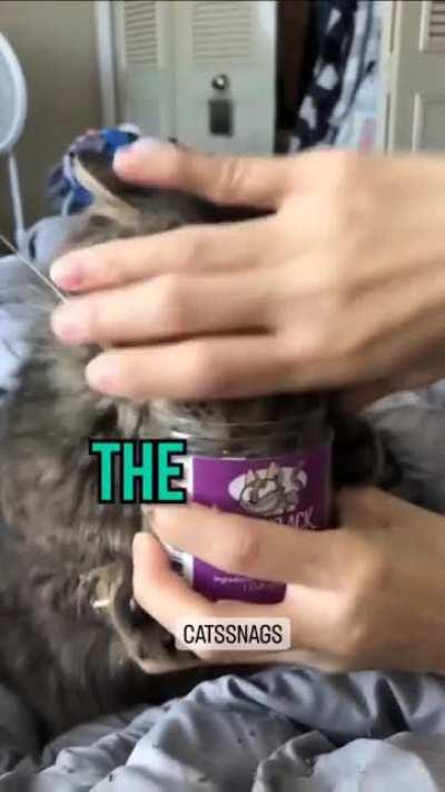 Love the voiceover. Haha.